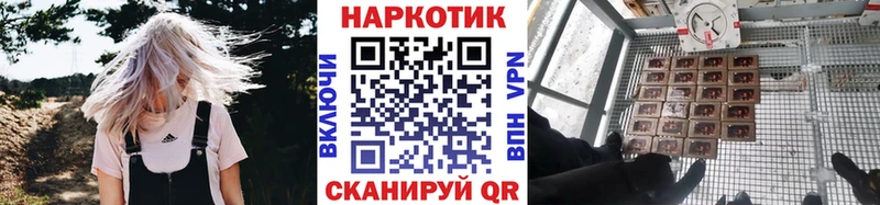 Купить наркотик аптеки Володарск АМФЕТАМИН  Бошки Шишки  Кокаин  Меф мяу мяу  ГАШИШ 