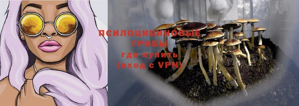 СК Волосово